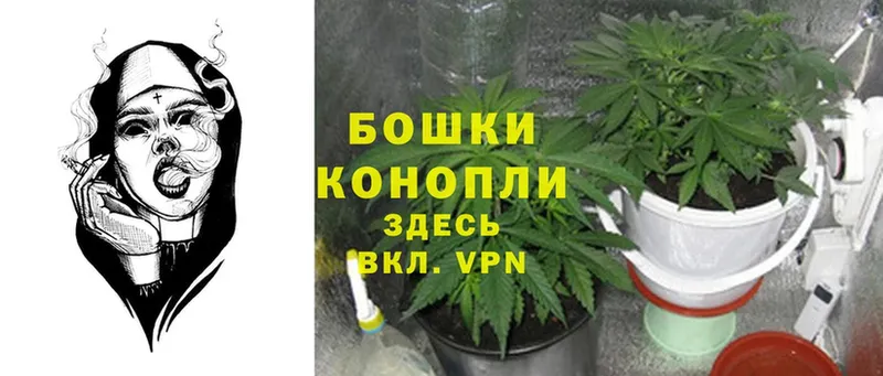 МЕГА зеркало  как найти закладки  Зуевка  Конопля Ganja 